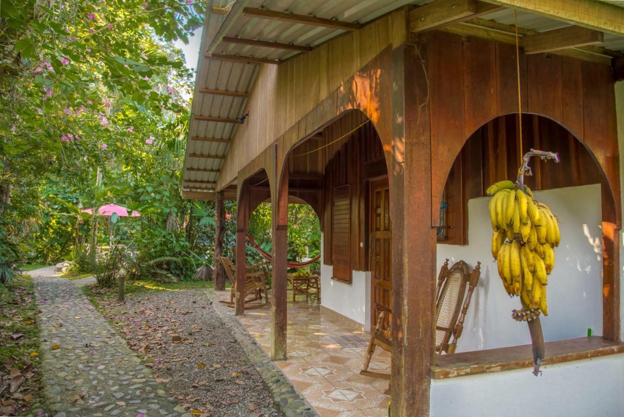 Cabinas Iguana Cahuita Buitenkant foto