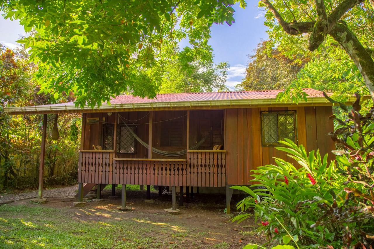 Cabinas Iguana Cahuita Buitenkant foto