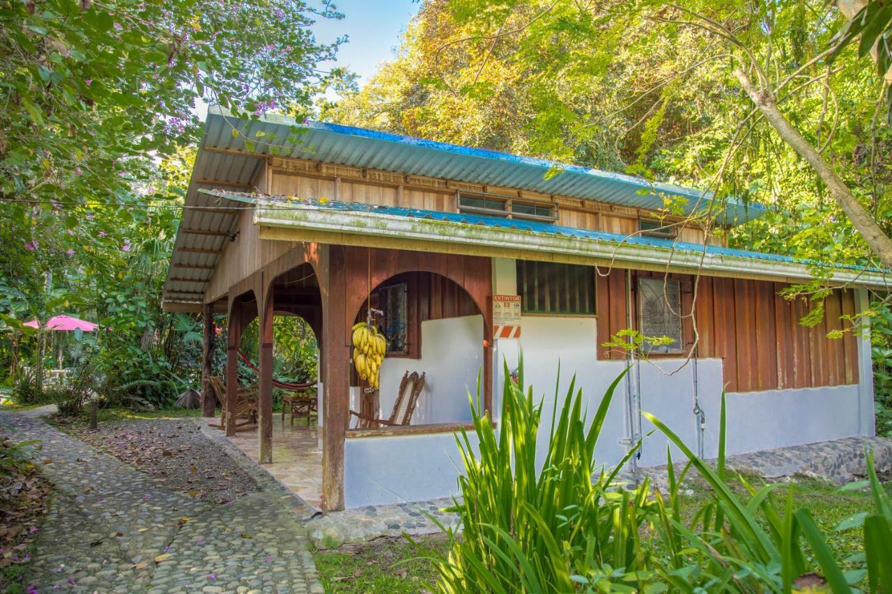 Cabinas Iguana Cahuita Buitenkant foto