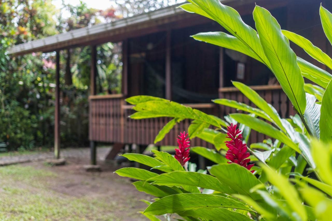Cabinas Iguana Cahuita Buitenkant foto